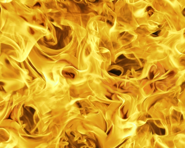 Patchwork Baumwolle - Open Air by QT Fabrics - Rauch - Gold